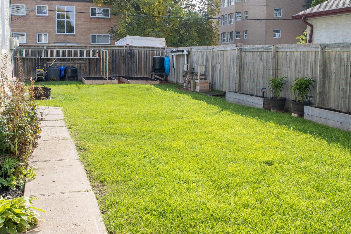 Side/Back Yard