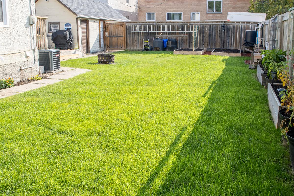 Side/Back Yard