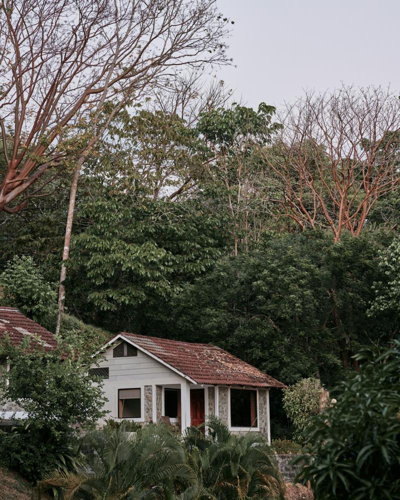 house in forest